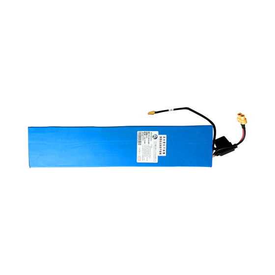 Batterie 36V 10,5Ah Z8
