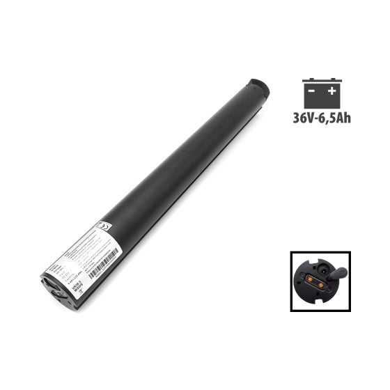 Batterie 36V 6.5Ah Cecotec Bongo Serie A