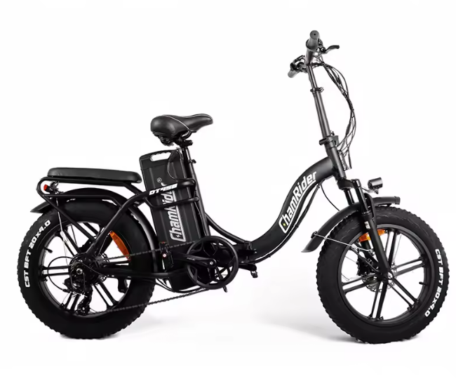 ChamRider DT450 Ebike