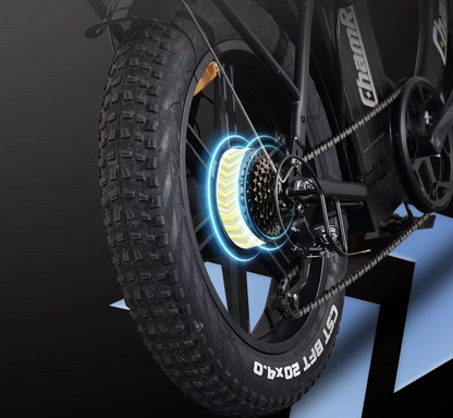 ChamRider DT450 Ebike