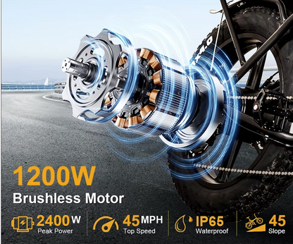 ChamRider DT450 Ebike