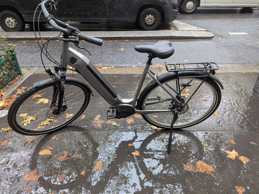 Kalkhoff Endeavour 3.B